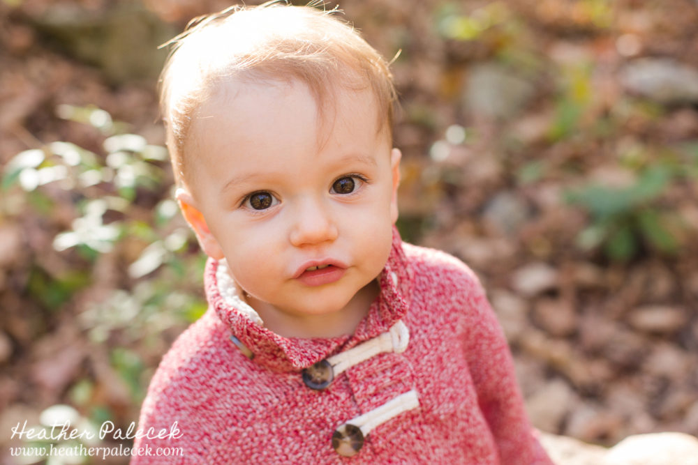 Family-Photos-on-Appalachian-Trail-Vernon-NJ
