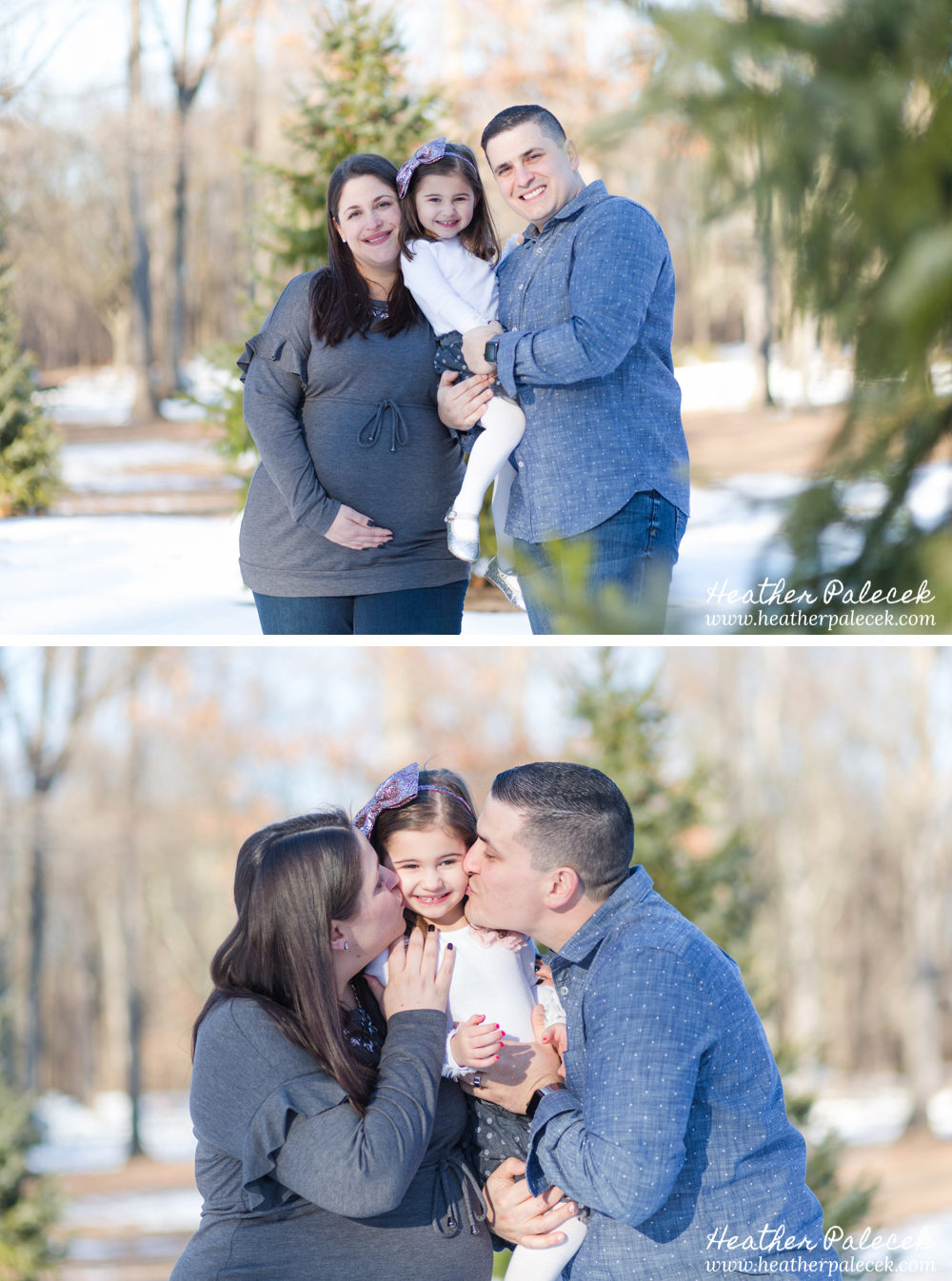 Winter Family Photos with Evergreens