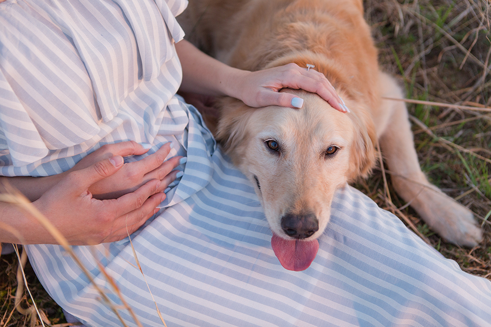 NJ Portrait Session in field