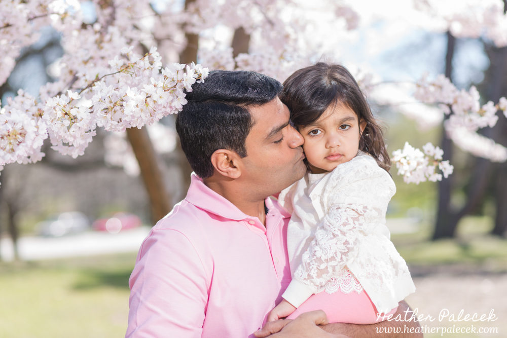 family portrait in cherry blossom trees