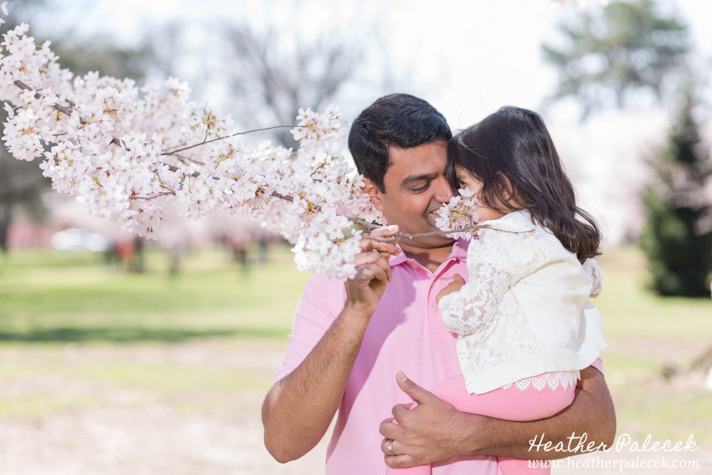 family portrait in cherry blossom trees