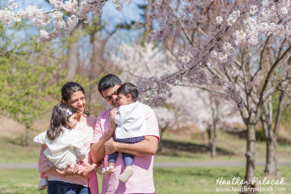 family portrait in cherry blossom trees