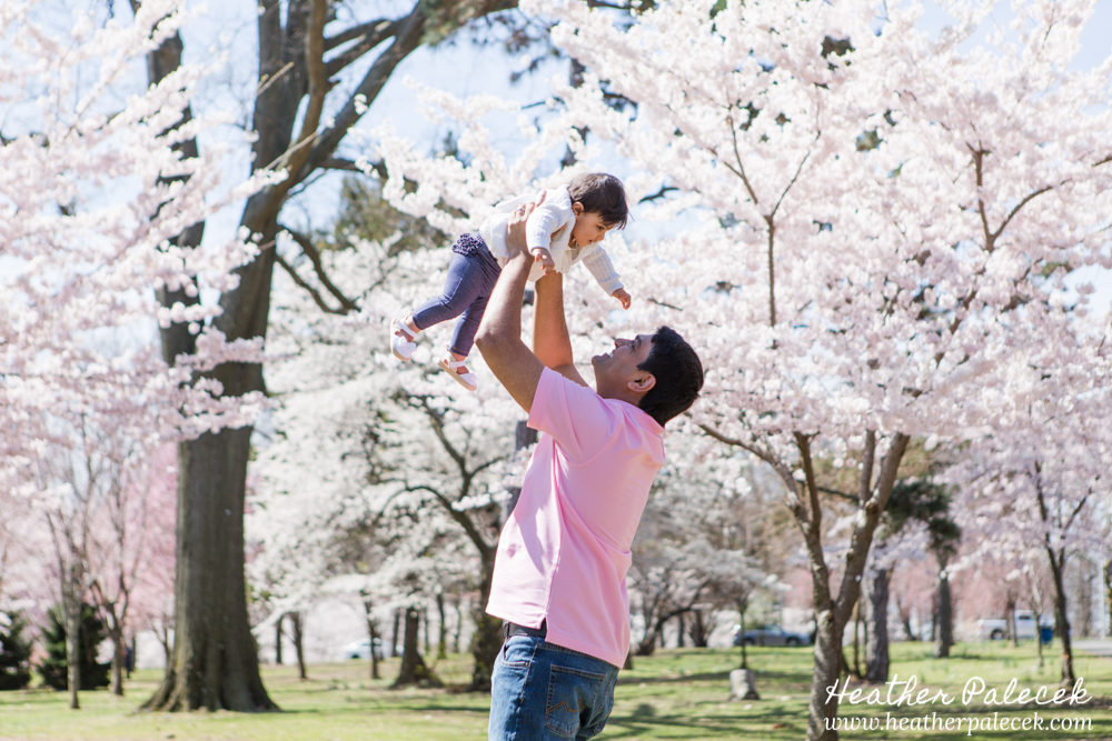 family portrait in cherry blossom trees