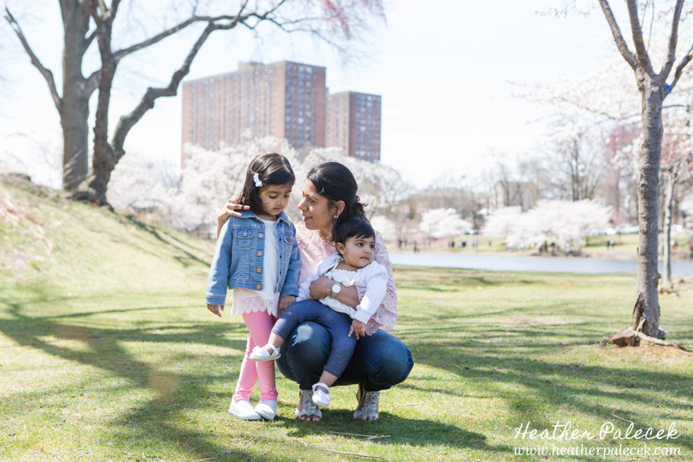 family portrait in cherry blossom trees