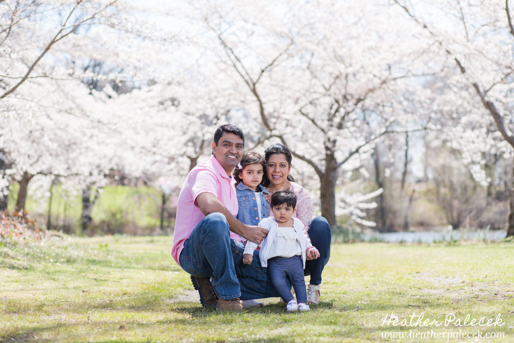 family portrait in cherry blossom trees