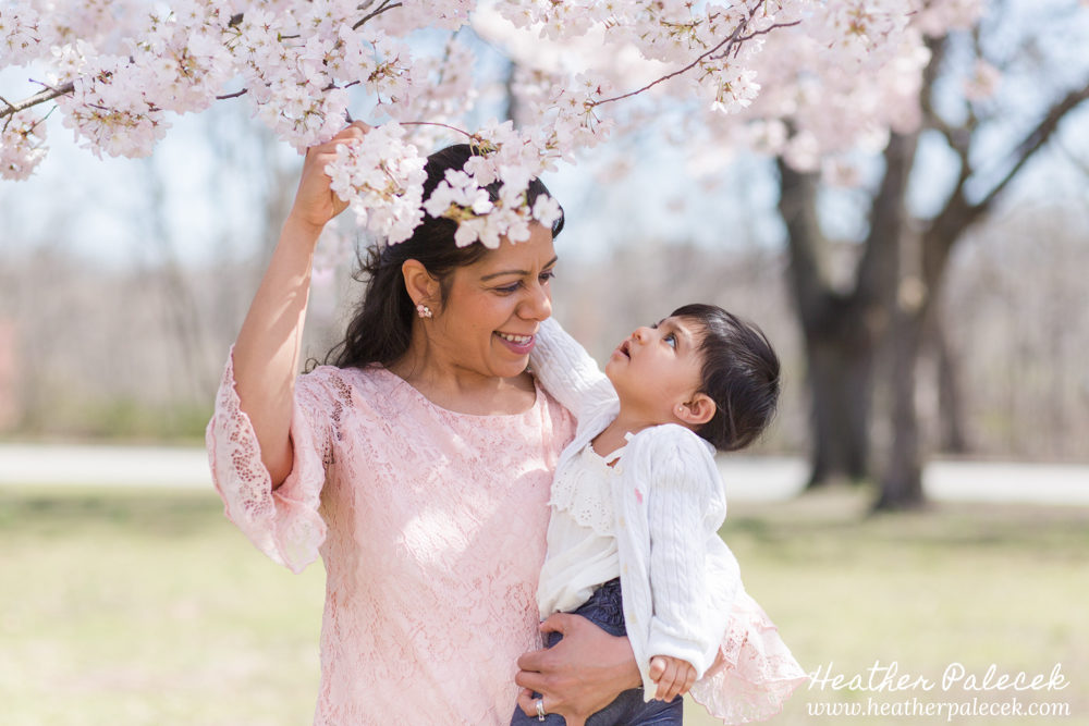 family portrait in cherry blossom trees