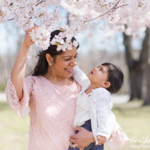 Cherry Blossom Family Portraits {Ewing NJ Photographer}