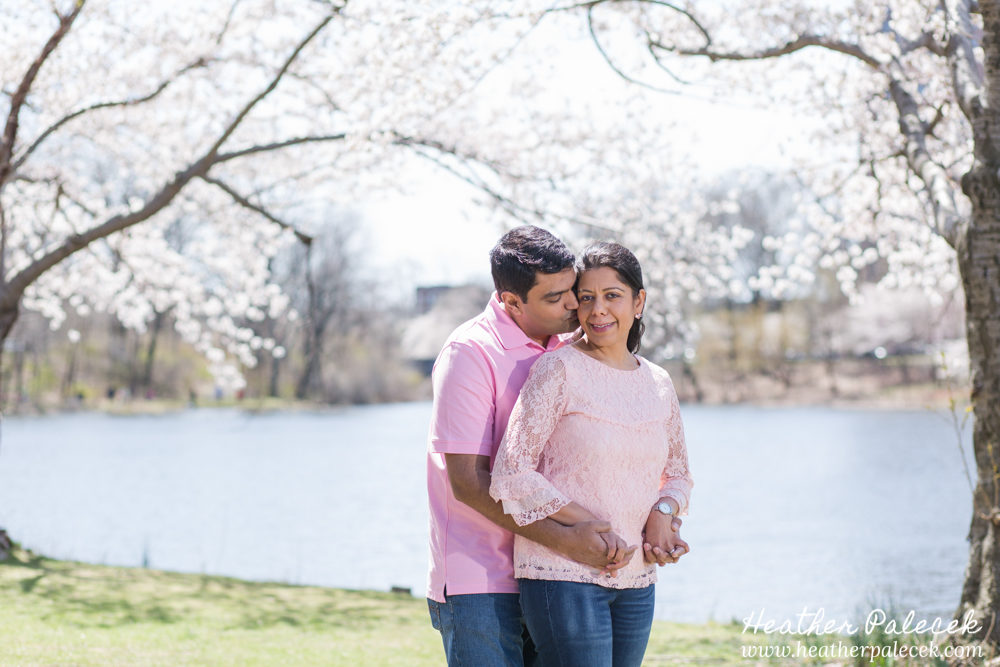 family portrait in cherry blossom trees