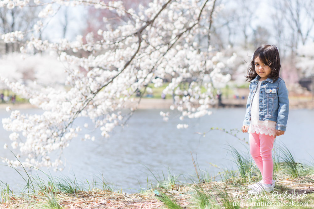 family portrait in cherry blossom trees