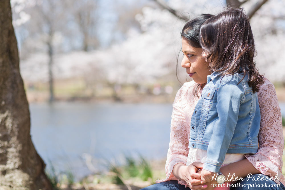 family portrait in cherry blossom trees
