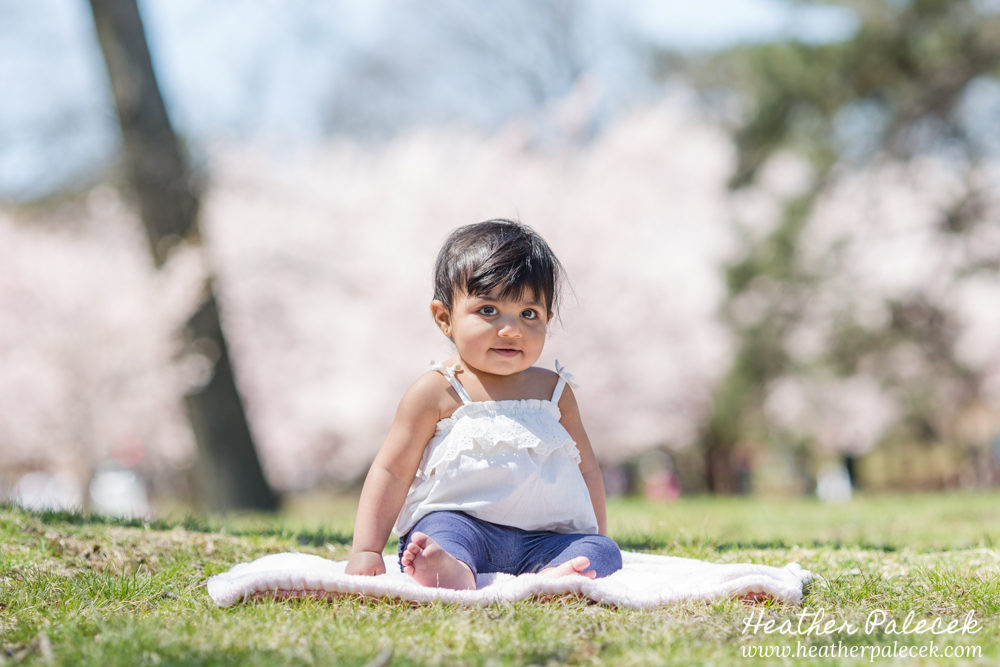 family portrait in cherry blossom trees