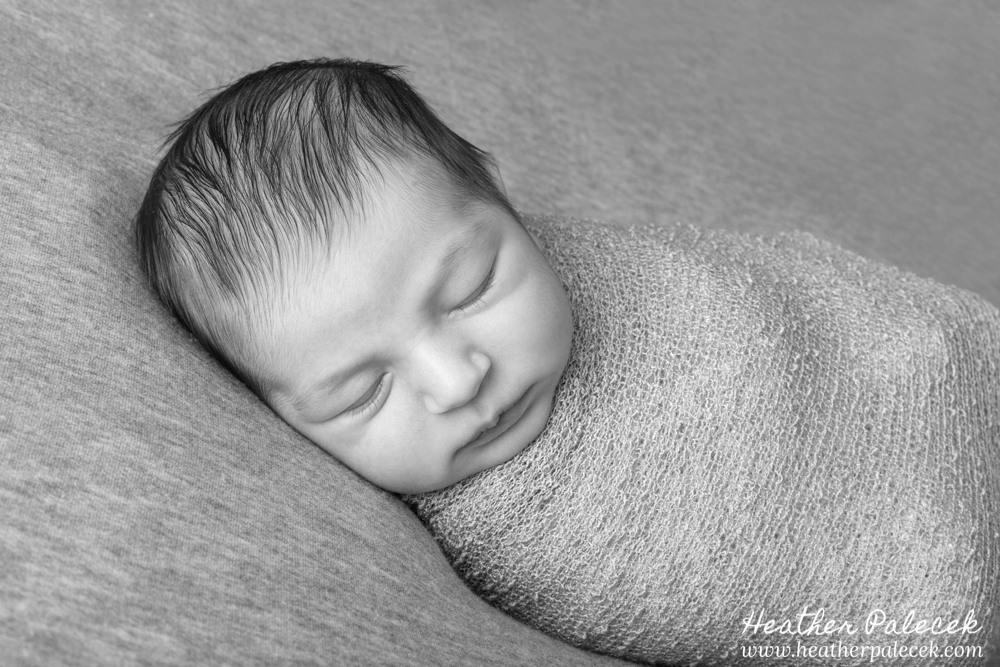 black and white newborn photography