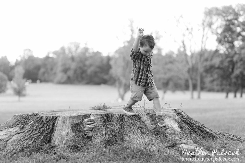 boy jumping off of tree stump