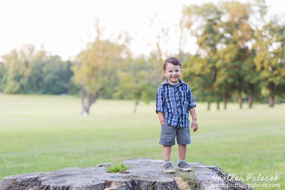 boy on tree stump