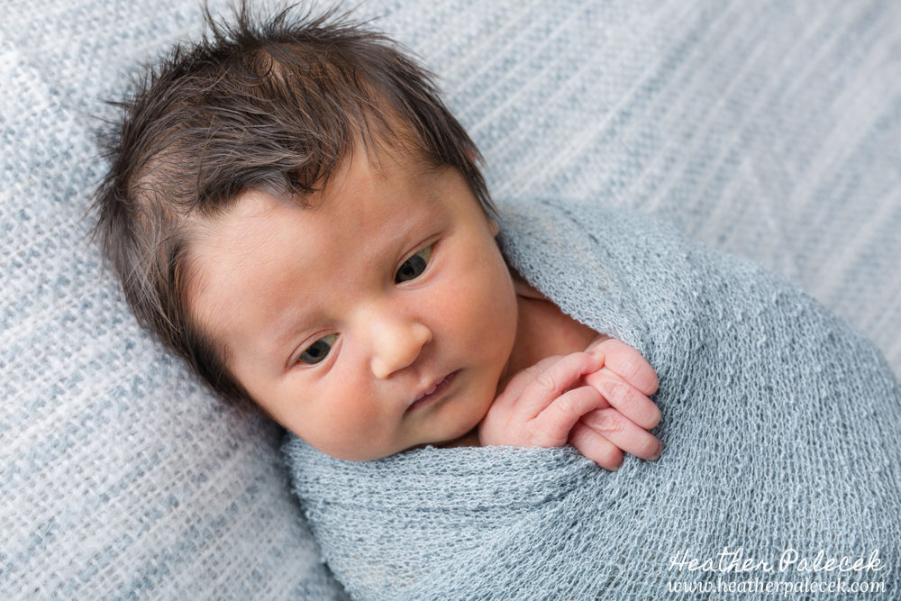 newborn boy wrapped in blue