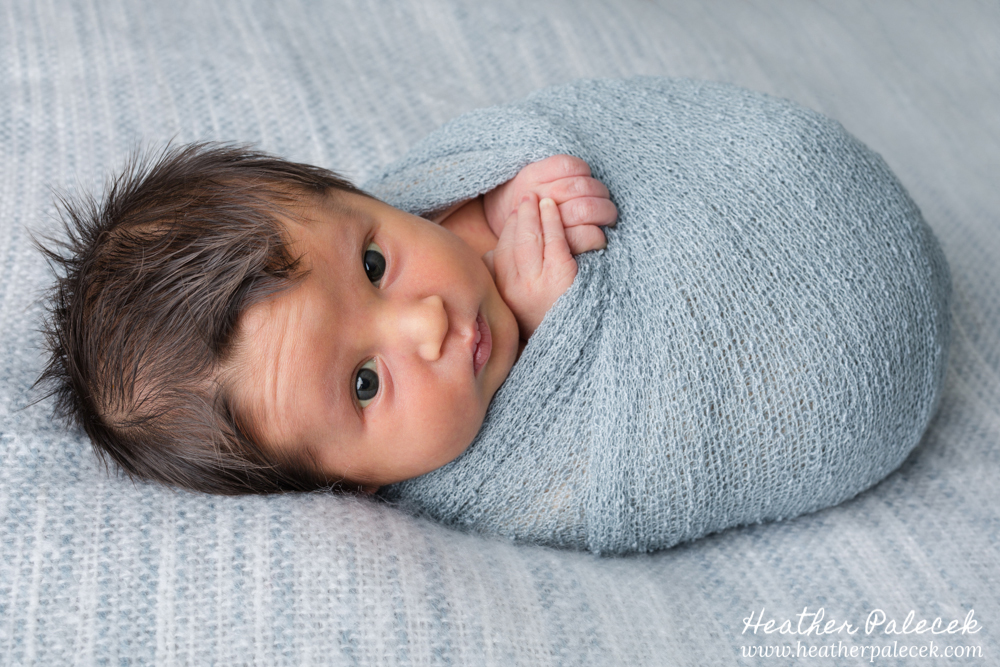 newborn boy photos hamilton nj