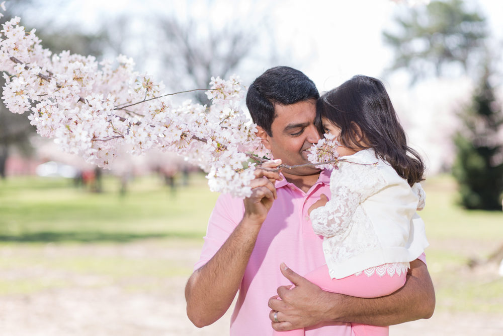 father and daughter in cherry blossom tree
