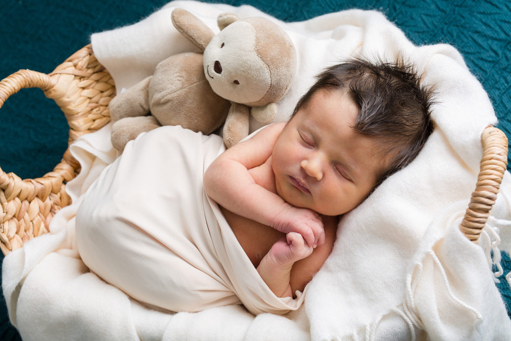 newborn boy in basket with stuffed animal