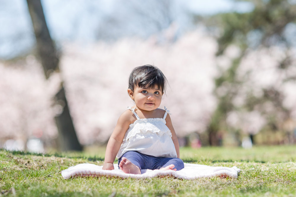 first birthday portrait in cherry blossoms