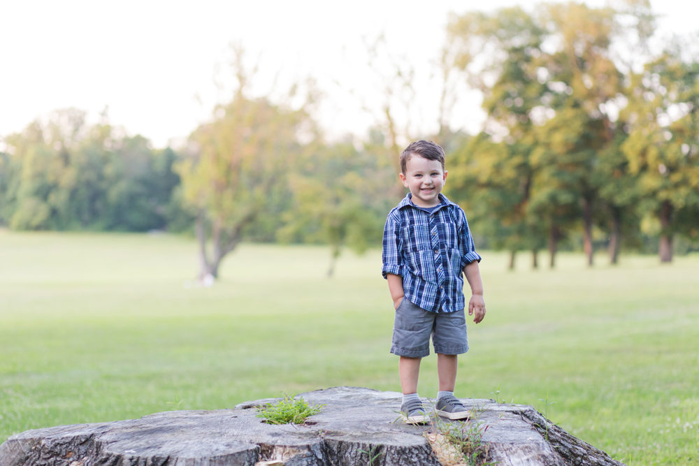 boy standing on tree stump
