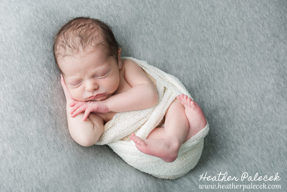 newborn boy portrait