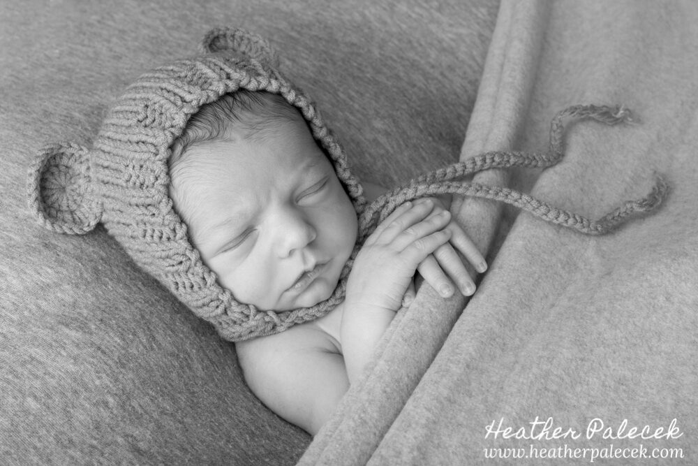 newborn boy portrait with bear ears hat