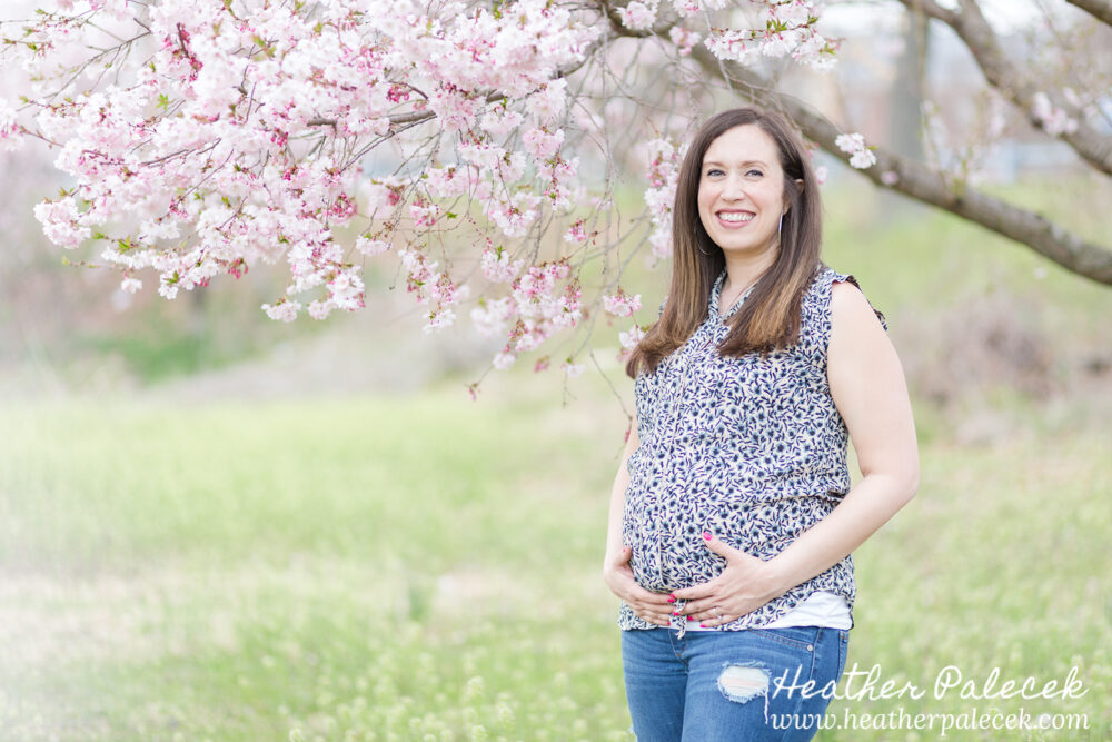 pregnant woman poses with cherry blossom tree
