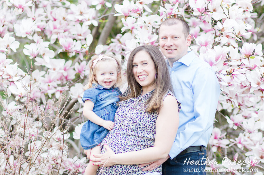 family poses and laughs in front of magnolia tree