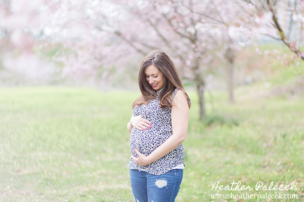 pregnant woman poses with cherry blossom tree