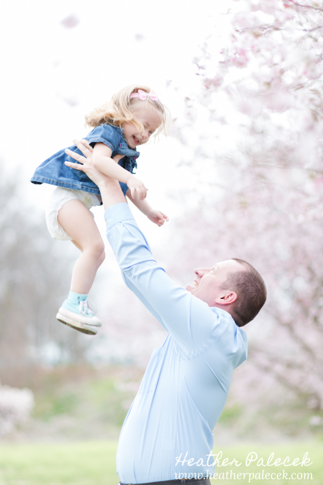 dad holds up daughter under cherry blossom tree