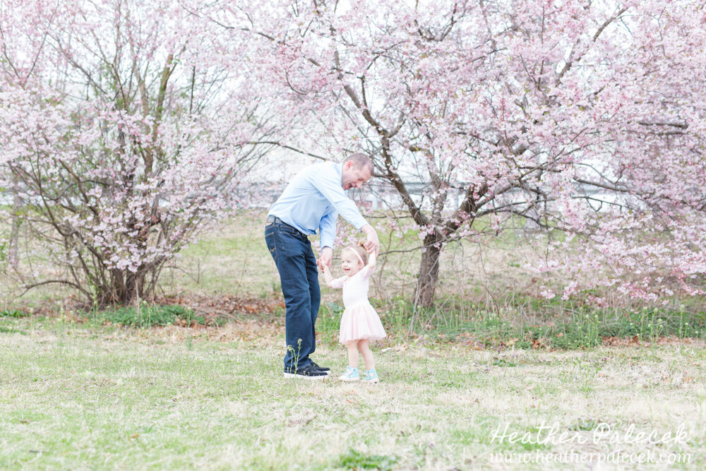 father and daughter dance under cherry blossom tree