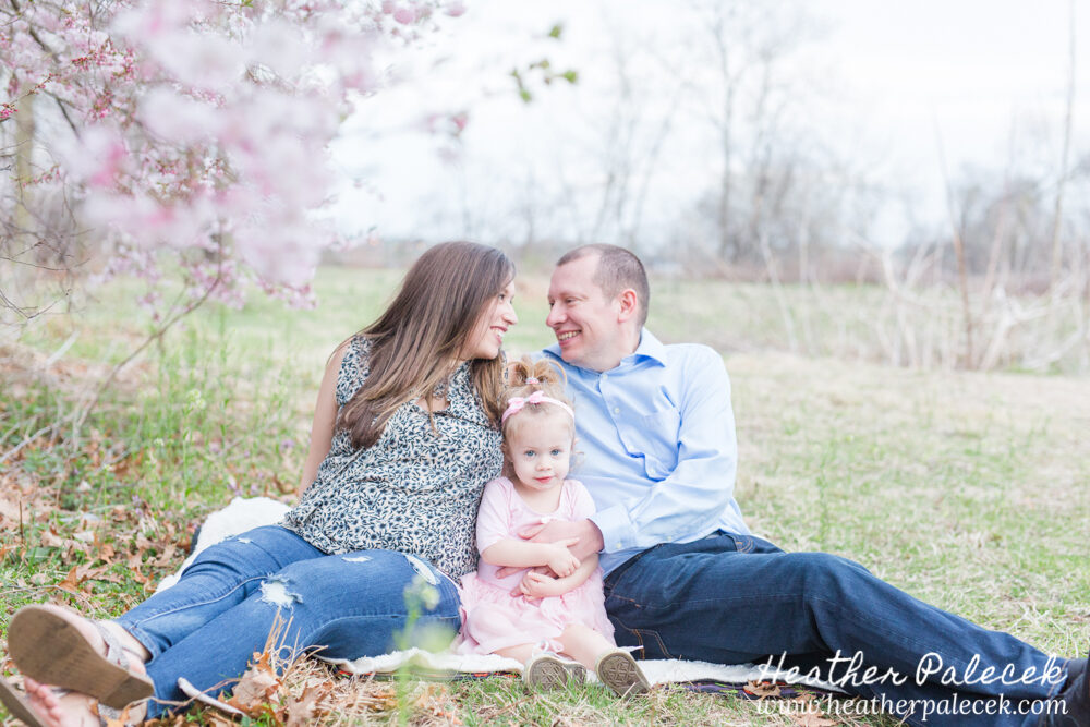 family sits under cherry blossom tree