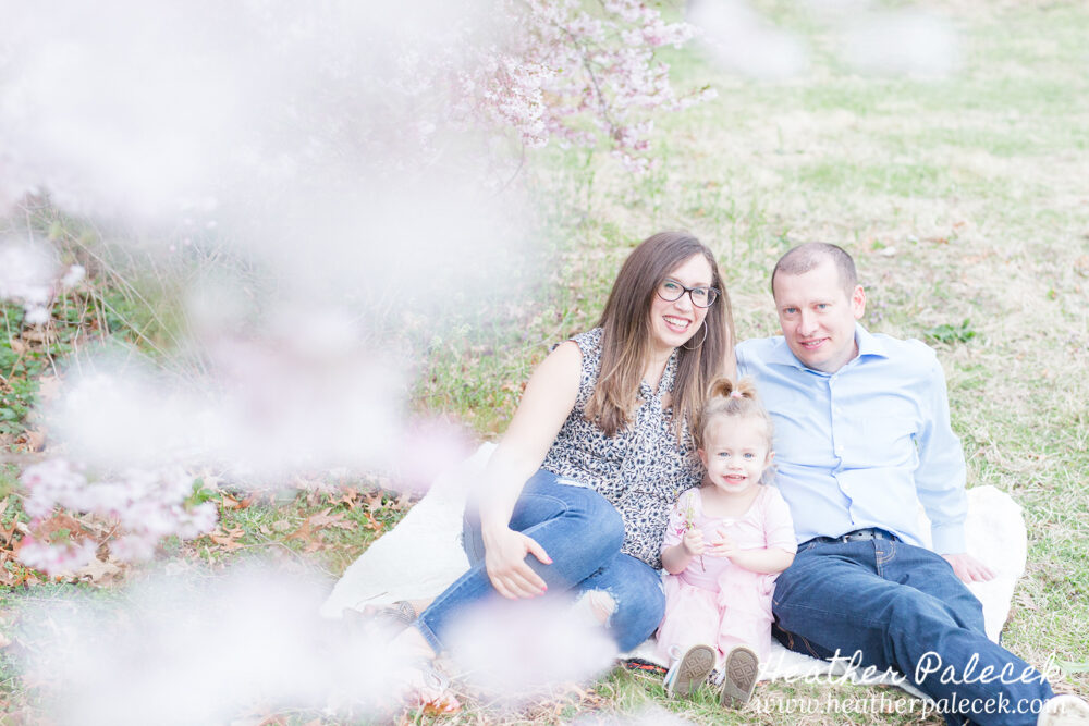 family sits under cherry blossom tree
