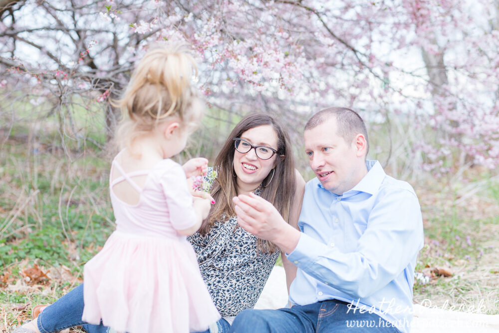 family sits under cherry blossom tree