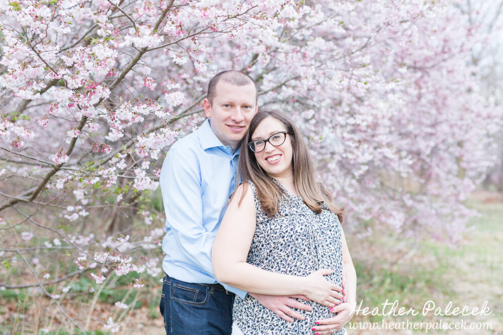 husband and wife maternity session with cherry blossom tree