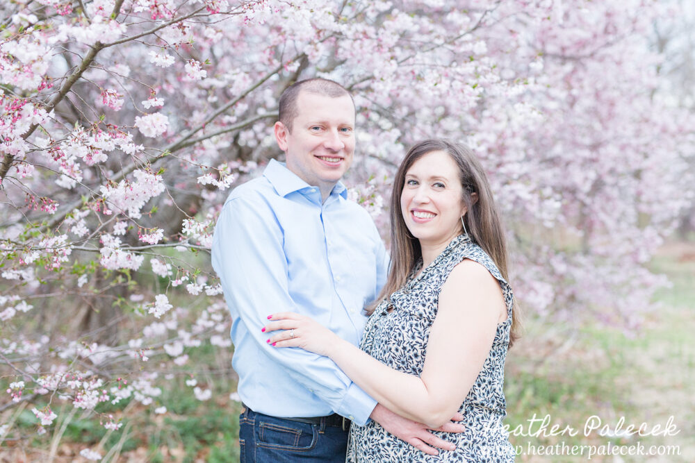 husband and wife maternity session with cherry blossom tree