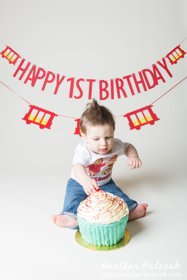 daniel tiger themed cake smash