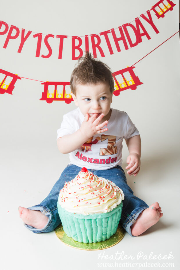 daniel tiger themed cake smash