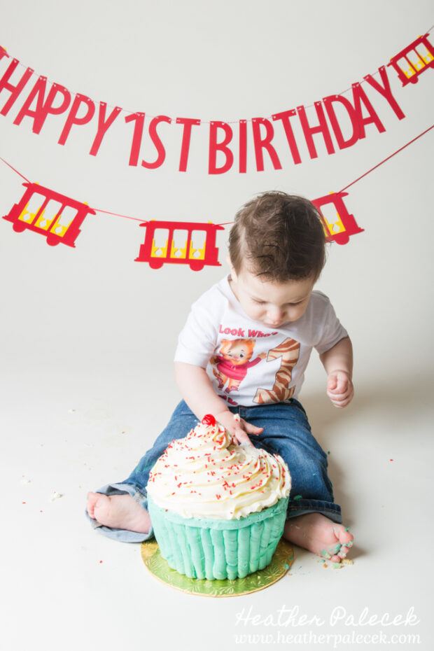daniel tiger themed cake smash