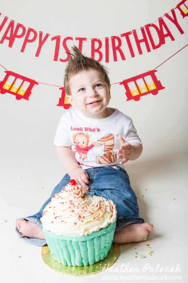 daniel tiger themed cake smash