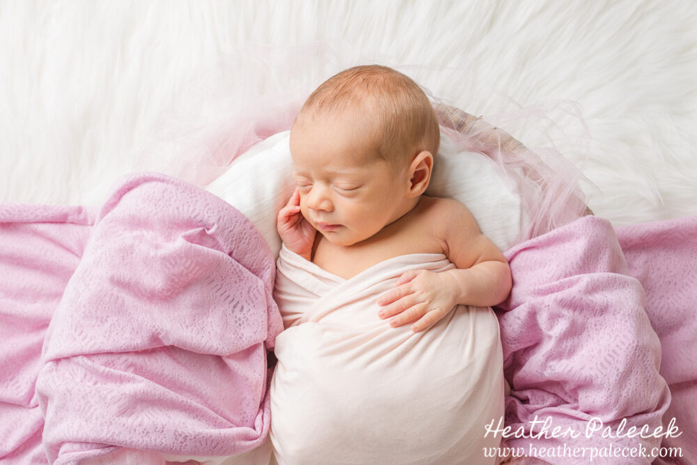 newborn girl posed in basket of pink
