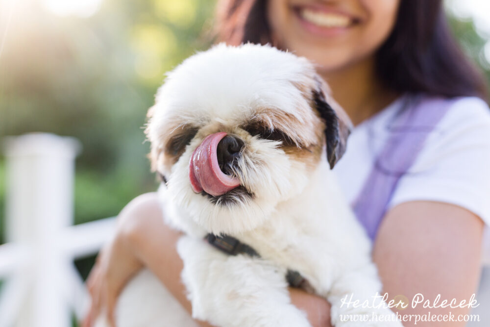 sweet sixteen portrait