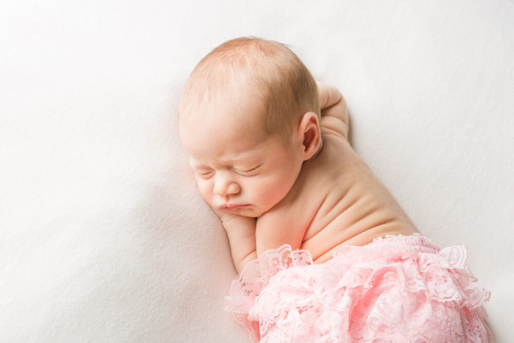 Heather Palecek Best of 2019