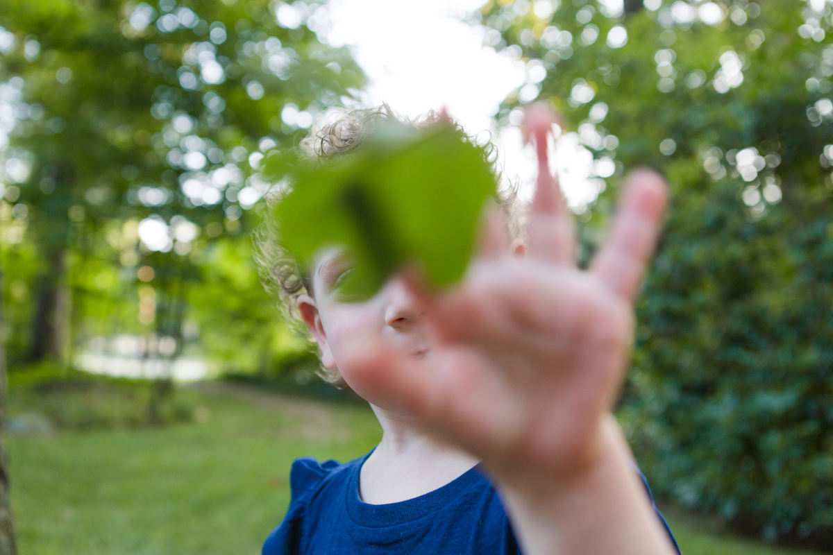 Heather Palecek Best of 2019