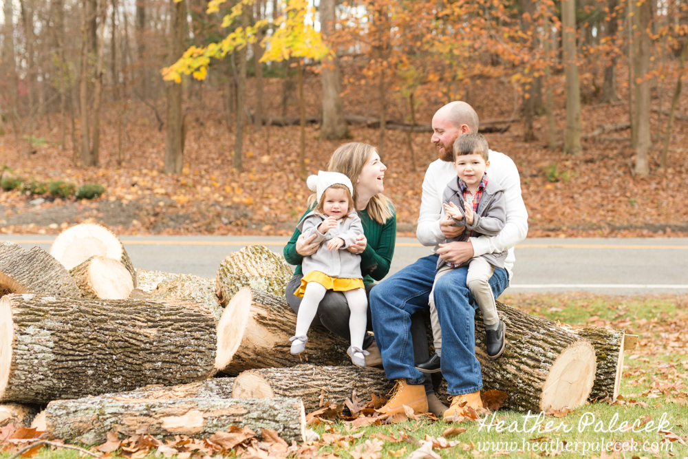 family sits on pile of logs at Fall Family Photo Shoot