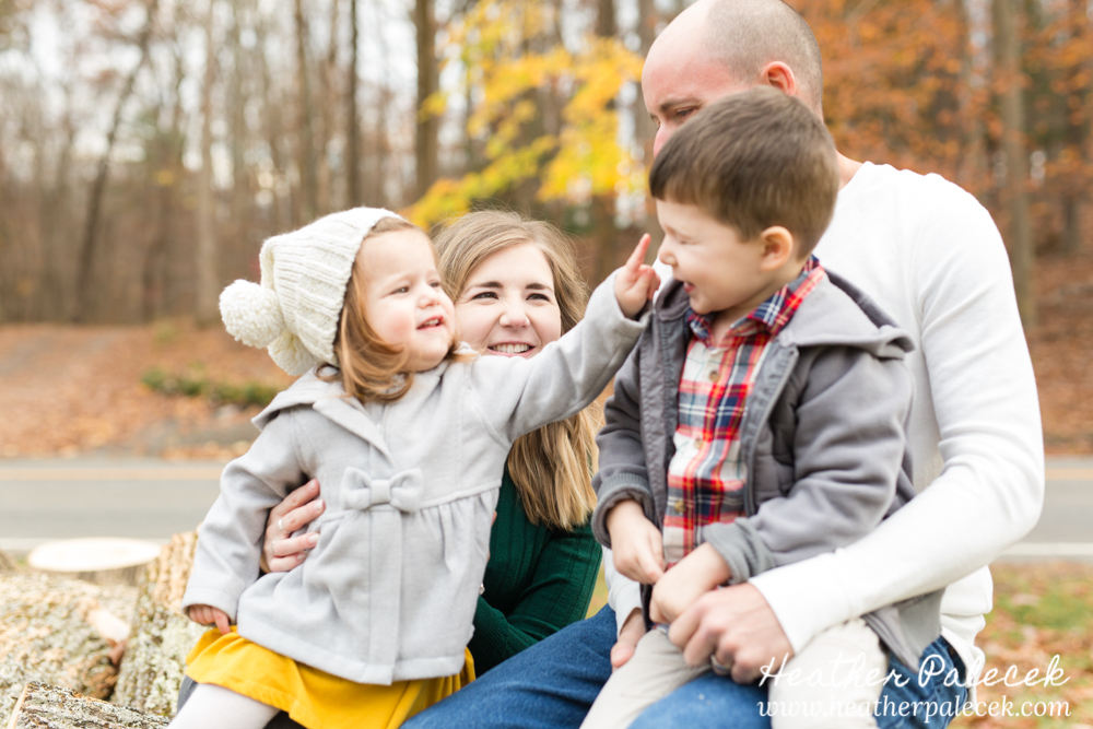 family sits on pile of logs at Fall Family Photo Shoot
