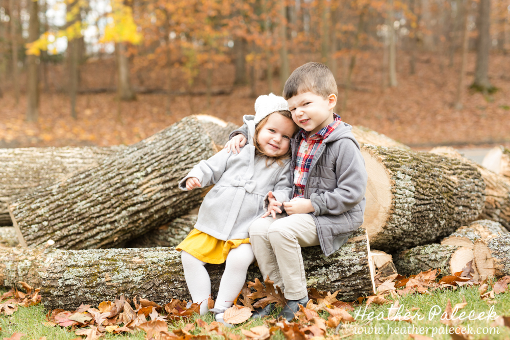 siblings sit on pile of logs at Fall Family Photo Shoot
