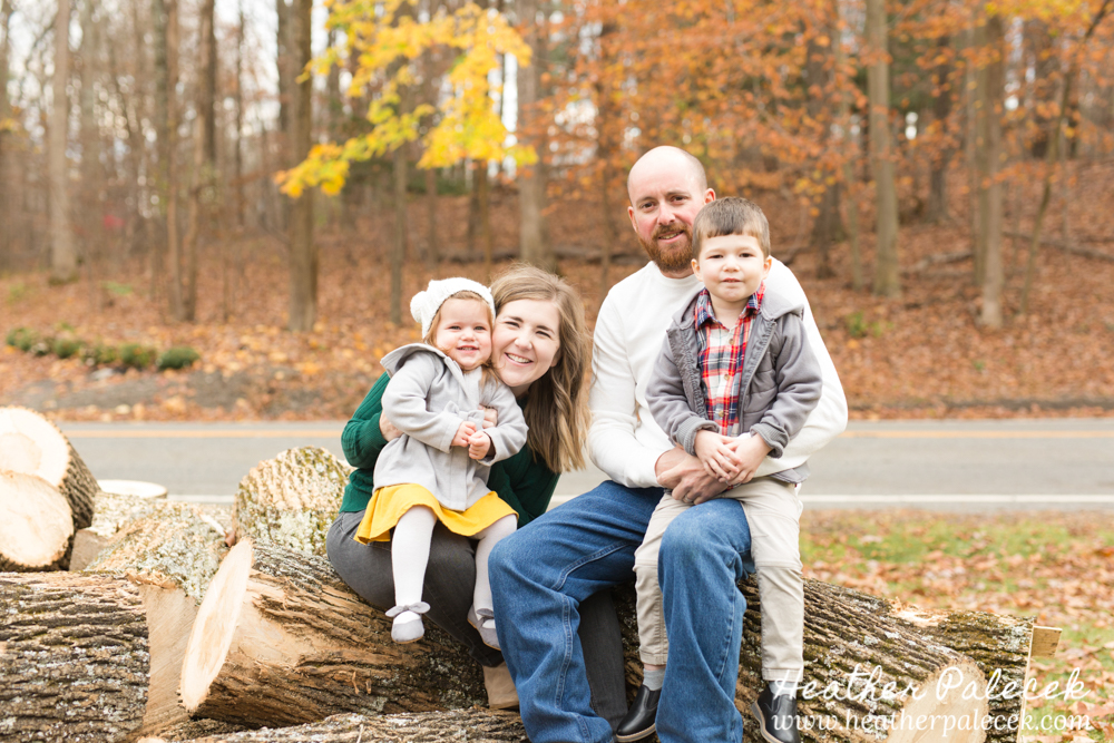 family sits on pile of logs at Fall Family Photo Shoot