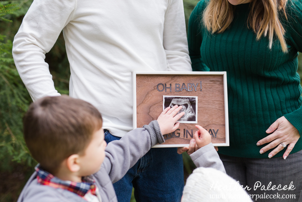 Family Fall Photo Shoot in Front Yard